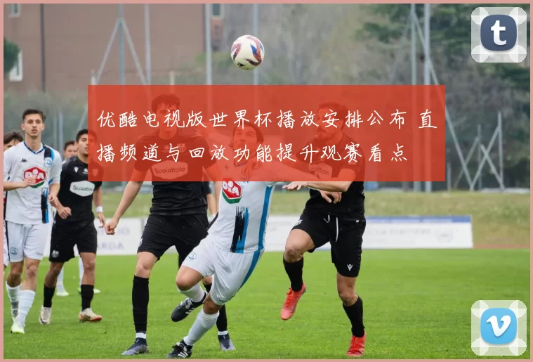 优酷电视版世界杯播放安排公布 直播频道与回放功能提升观赛看点