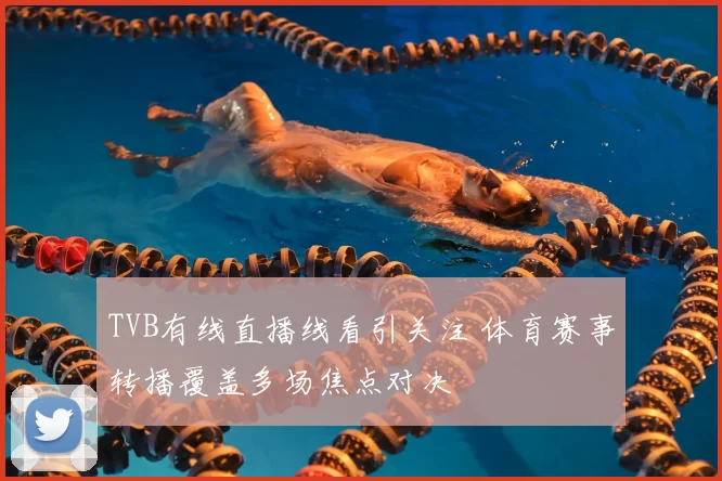 TVB有线直播线看引关注 体育赛事转播覆盖多场焦点对决