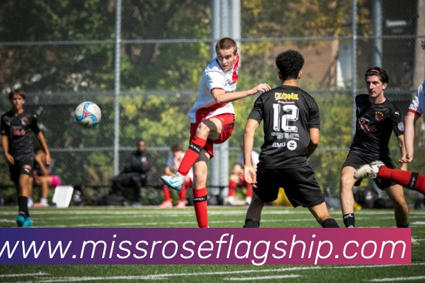 压球官网·(中国)官方网站全站App